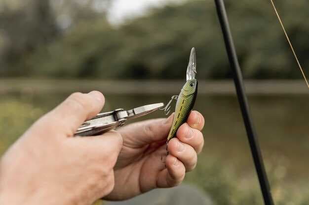 11 Easy Boating Knots - Quick, Safe Ties You Can Master