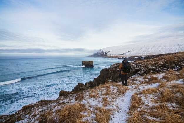 Anchorage Tours &amp