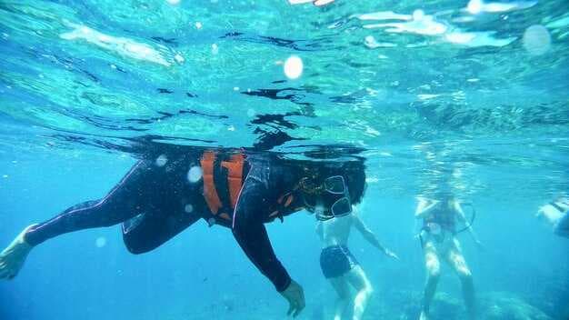 DIVE CAYMAN - Cayman Islands Diving — Best Dive Sites