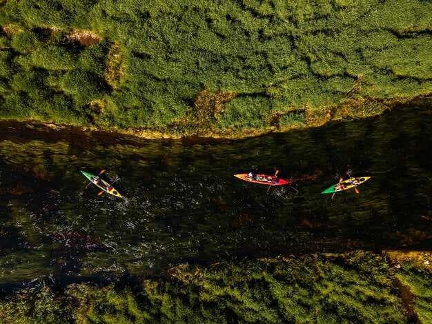 Kayak Nature Adventures - Top Wildlife Paddling Tours