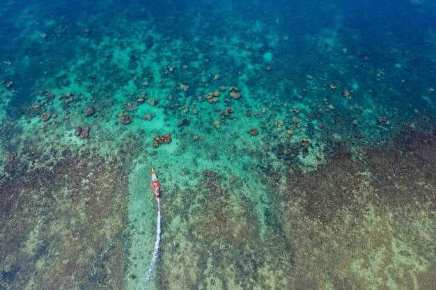 Key Largo Snorkeling Guide - Best Reefs, Tours, and Tips