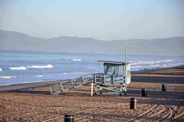 Los Angeles Beaches - Must-Visit Beach Spots in LA