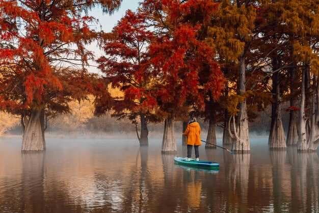 The Best Fall Destinations to Explore by Boat