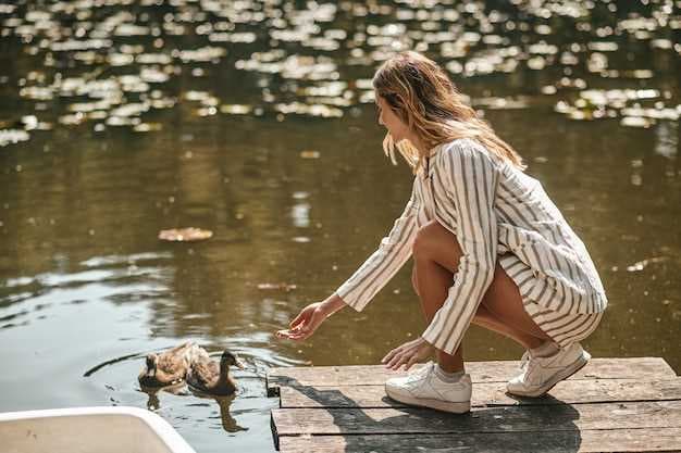 Tips for Boating with Your Dog - Safety &amp