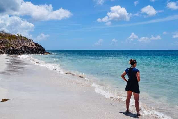 Top 10 Beaches in Antigua and Barbuda with Photos