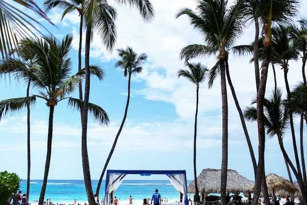 Top 10 Things to Do in West Palm Beach in January