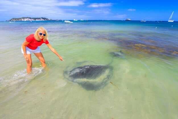 Torch Lake Sandbar Guide - Best Spots, Tips, and Safety