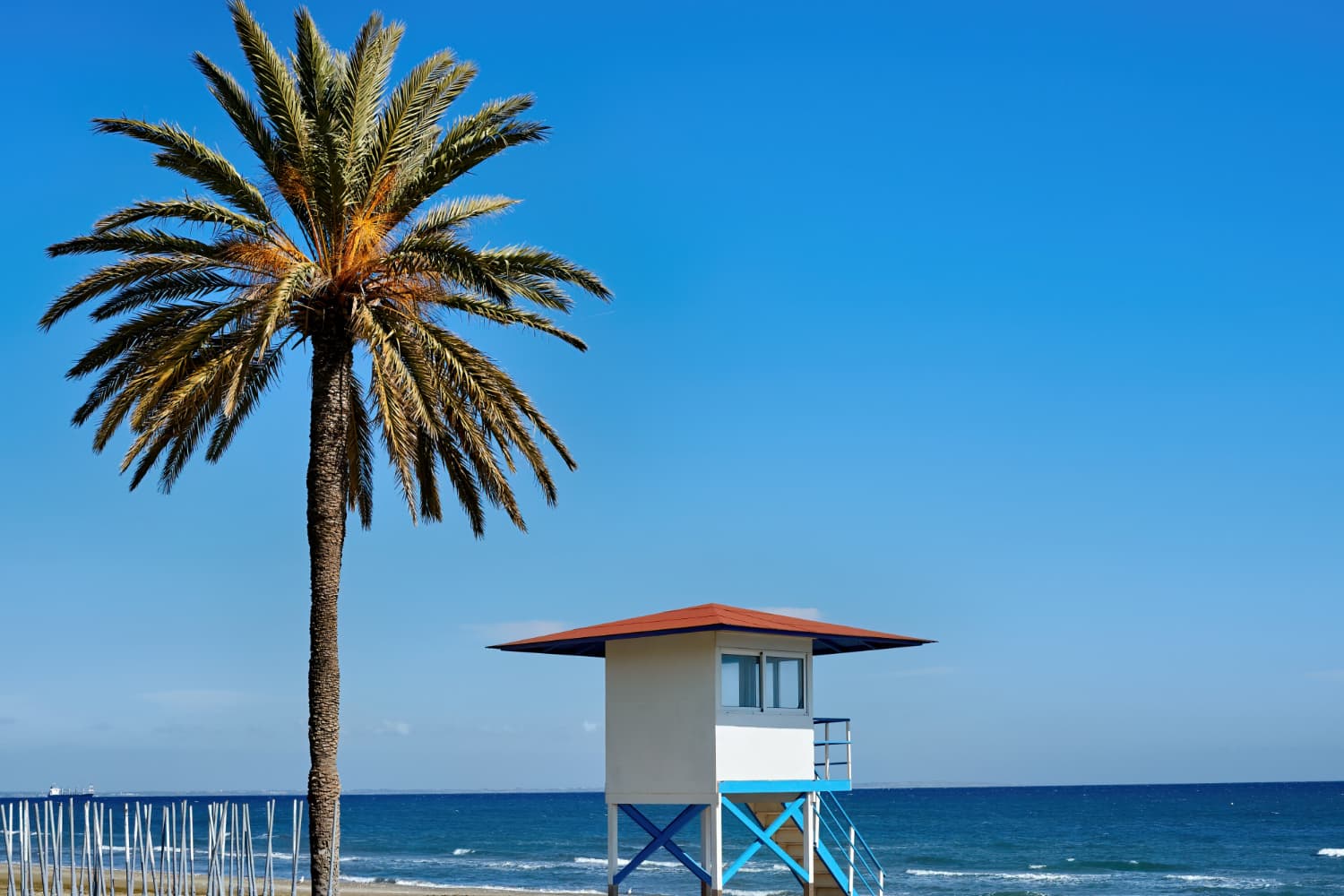 Beaches in LA: Coastal Gems to Explore