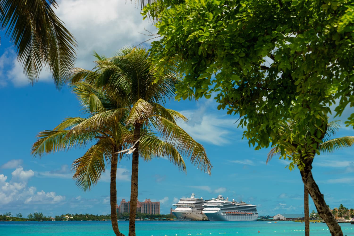 Must-See-Spots auf den Bahamas für das perfekte Instagram-Foto