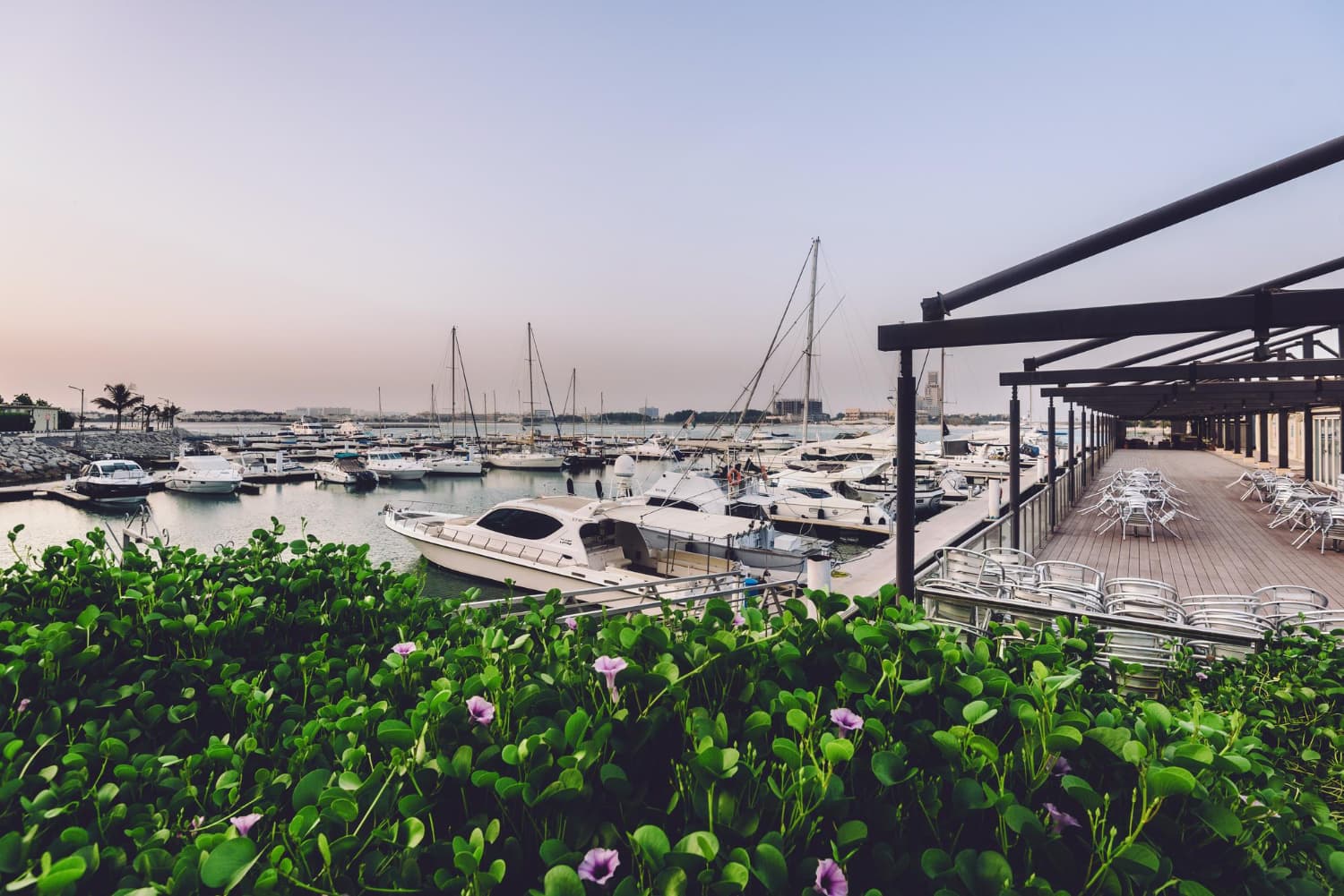 Royal Yacht Club of Ras Al Khaimah Earns Prestigious 5 Gold Anchor Rating