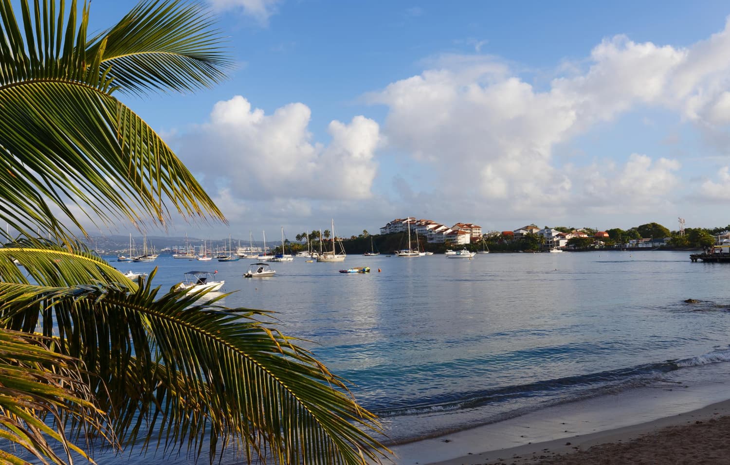 Martinique: The Sparkling Gem of the French Caribbean