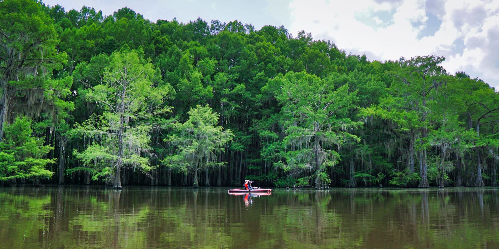 December Caddo Lake Adventures in Texas You Can’t Miss