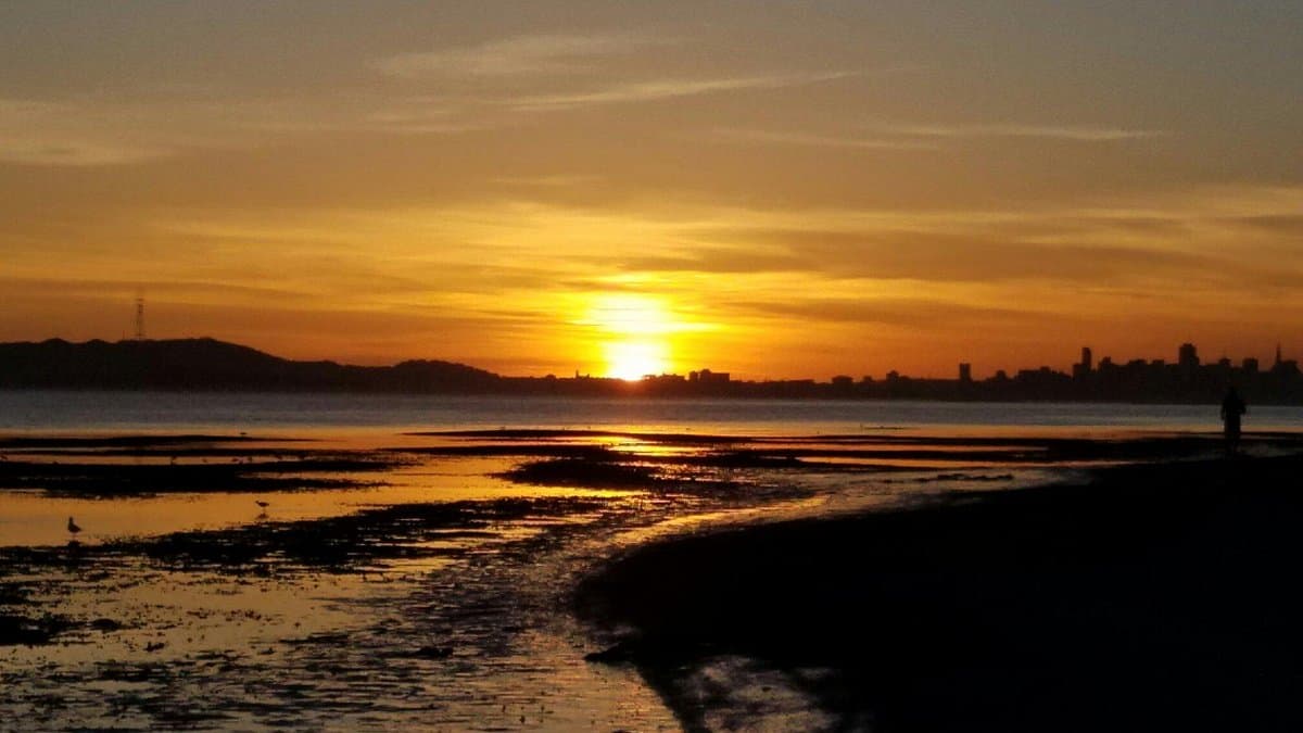 Premier Marinas in Alameda, California