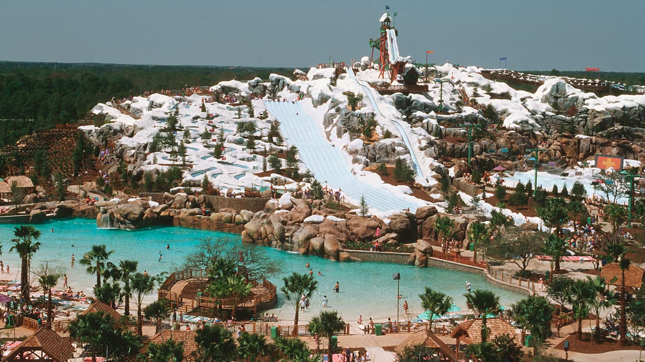 January Thrills at Blizzard Beach: Must-Do Experiences