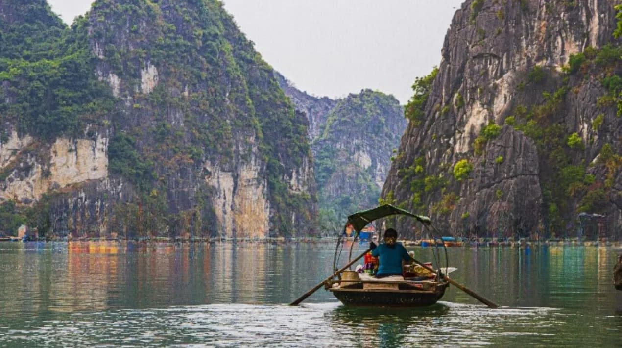 Vietnam's New Platform Revolutionizes Tourist Experience