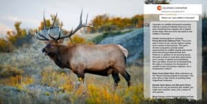 Colorado Unveils AI Travel Genius for Visitors