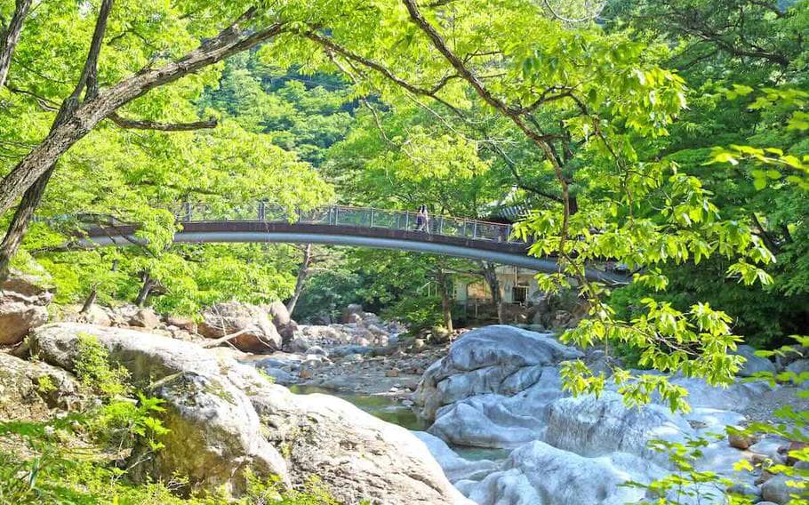 Sancheong County: A Leading Tourist Spot in Korea for 2026
