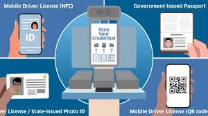 Understanding the TSA's Digital ID: Boosting Travel Efficiencies