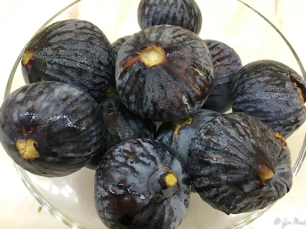 A Journey Through the World of Figs