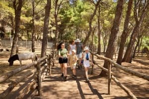 Unveiling the Wonders of the Forte Village Nature Park
