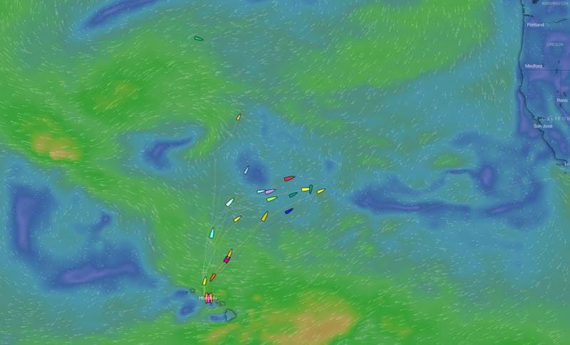 Обратный путь после гонок Transpac