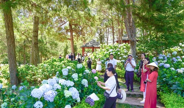 Lâm Đồng Unveils Cultural and Tourism Festivities for September 2026