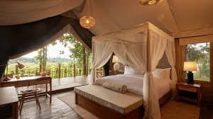 Sustainable Tourism Flourishes at Chiang Rai’s Tantawan Tented Camp under Dusit
