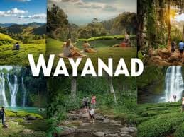 Discover the Magic of Wayanad's Tourist Attractions