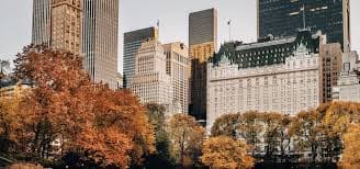 Discover the Best Hotels in New York City for Autumn