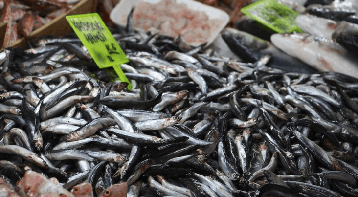 Hamsi Anchovies: Turkey’s Culinary Treasure from the Black Sea
