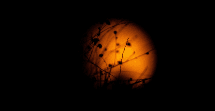 Highlights from Fethiye: Blood Moon, Blue Cave, and Regional Updates