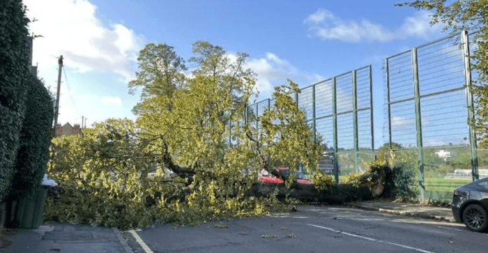 Travel Disruptions Caused by Fierce Winds and Fallen Trees in South East England