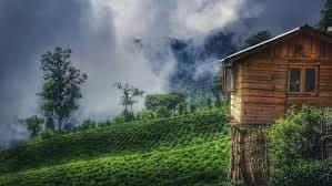 Indian Travellers Redefining Travel with Immersive Accommodations