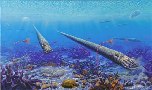 Exploring 200 Years of Paleontology in Cincinnati’s Flœts Shell Limestone