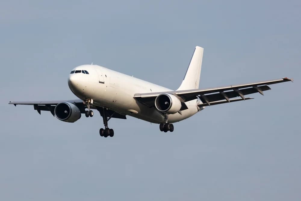 UK Sees Dramatic Drop in Domestic Flights Over Two Decades