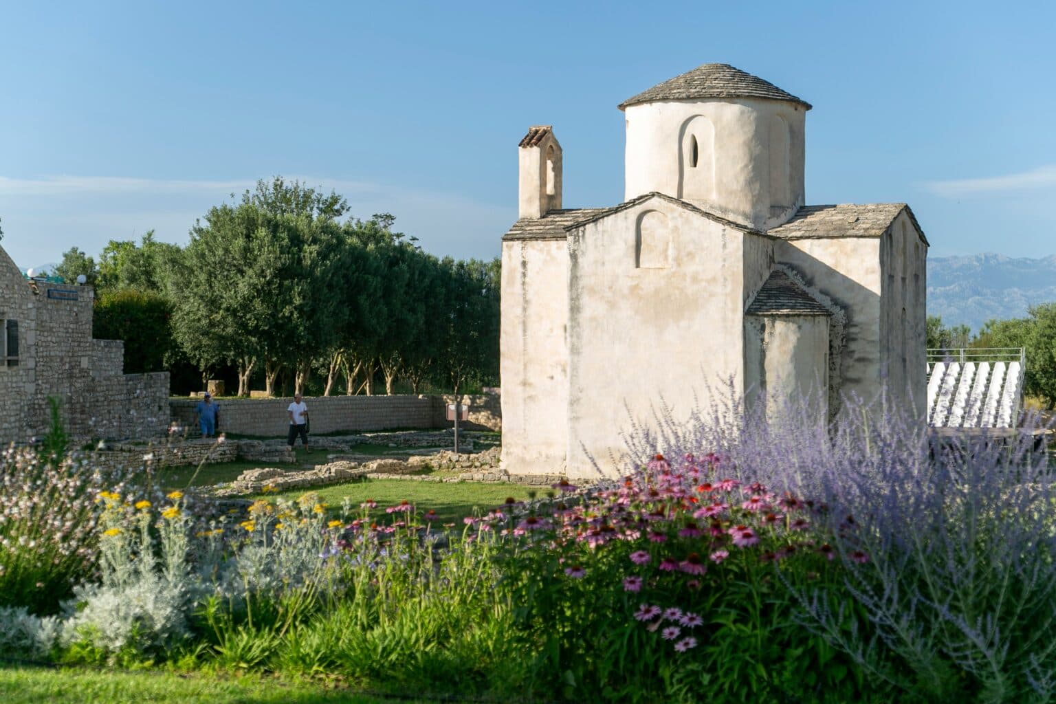 How Tree Planting Boosts Sustainable Tourism in Nin's Coastal Landscape