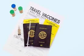 Essential Vaccinations for Travelers to Prevent Malaria, Typhoid, and Yellow Fever