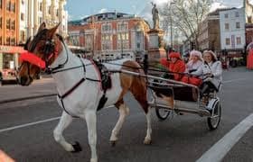 London’s Annual Christmas Drive: A Horse-Drawn Tradition through the City