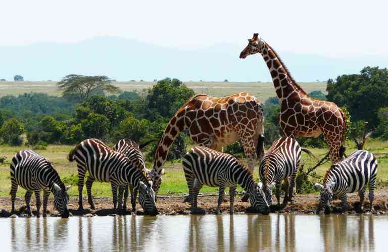 Kenya’s Government Travel Expenses Surge in 2026: What It Means for Travel and Tourism