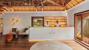Exploring Wellness Travel Trends and Destinations in 2026