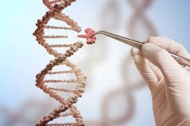 A New Frontier in Genetic Medicine: One Tool to Fix Many DNA Errors