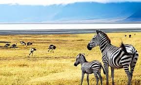 Tanzania’s Tourism Ministry Reports to Parliament