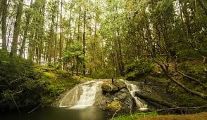 Tamil Nadu to develop 40 new ecotourism destinations