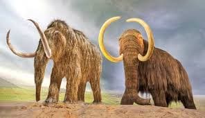 Unveiling Thomas Jefferson's Impact on the Mastodon Discovery