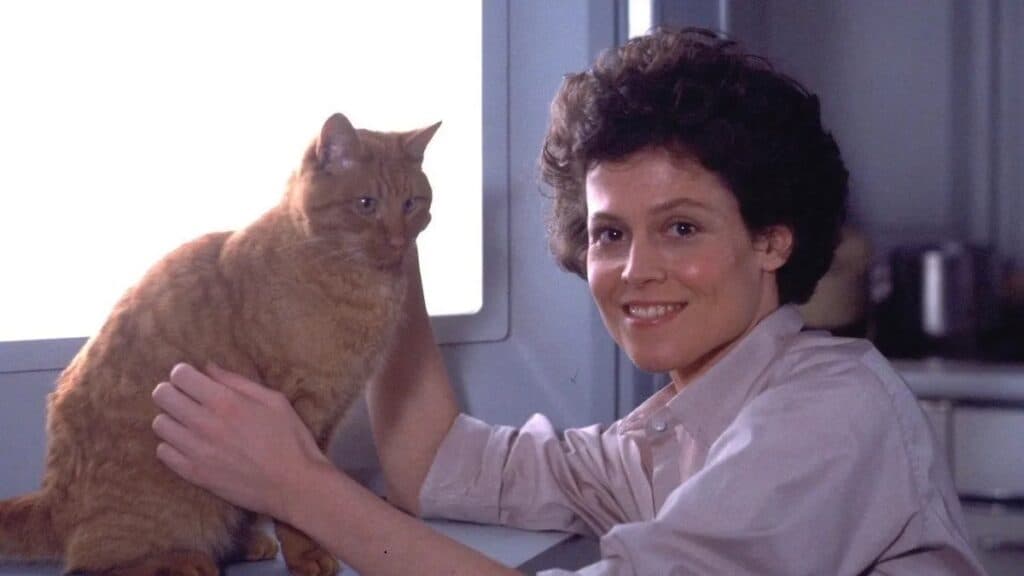 Staff Picks of Iconic Animals in Film