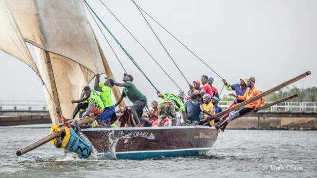 Dhow Racing in Lamu: Traditional Sails, Modern Lessons