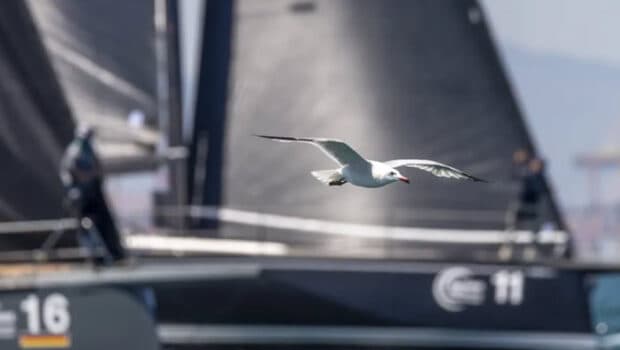 How ORC’s VPP Updates Change Racing and Rental Planning