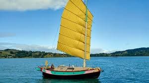 Rig Choices That Improve Cruising Performance