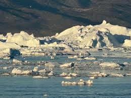 Discovering Greenland’s Secret Garden from the Sea