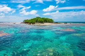 Yacht Charters and Atoll Routes in the Tuamotus